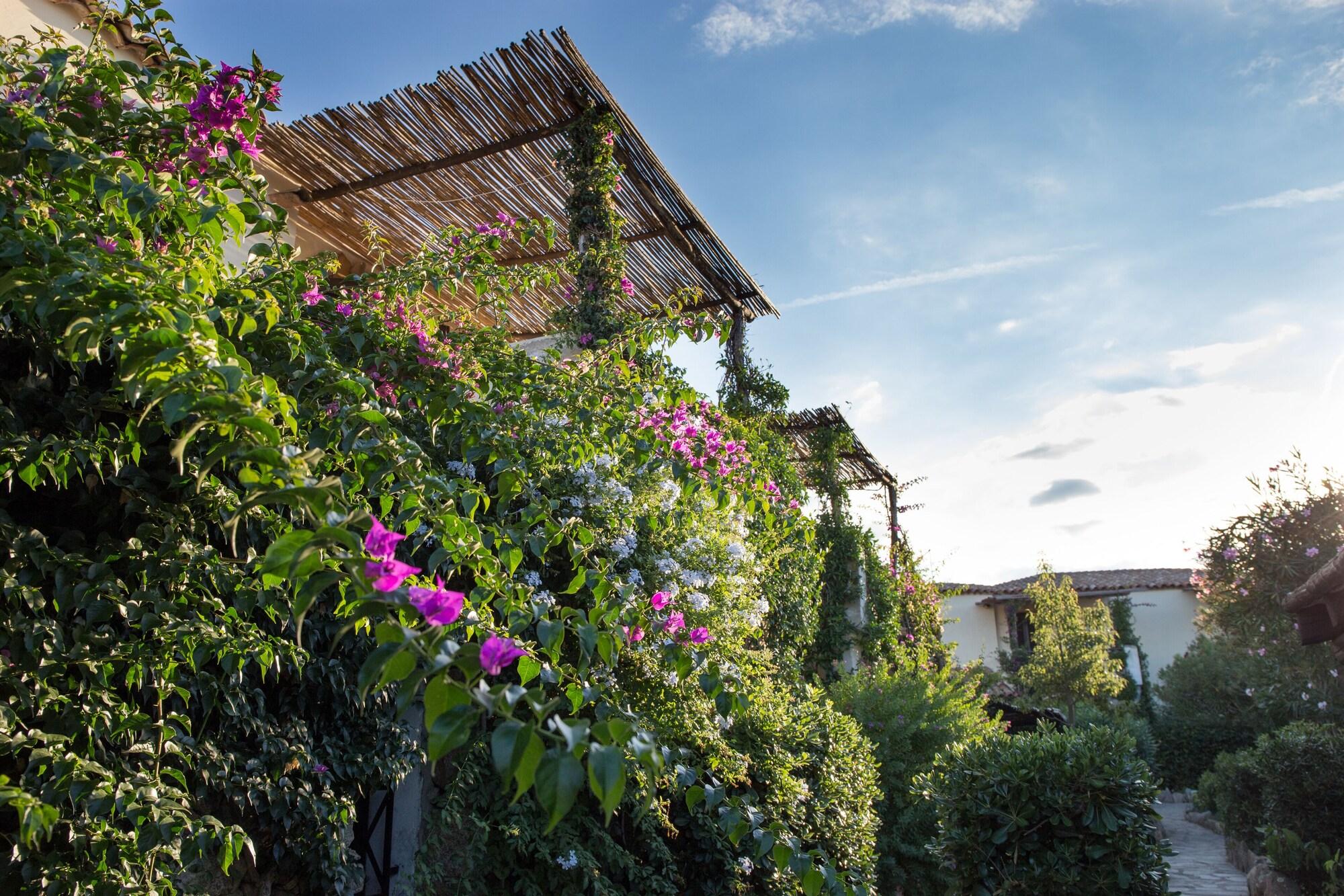 Hotel La Jacia & 3*